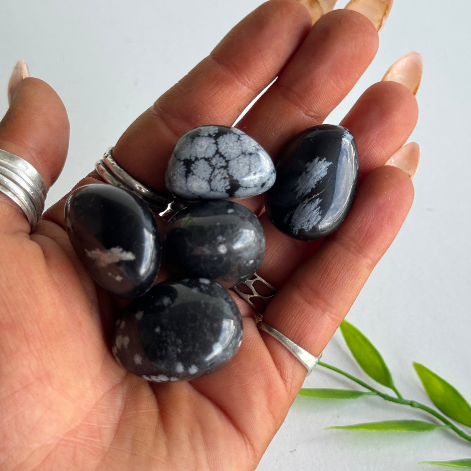 Snowflake Obsidian Tumbled