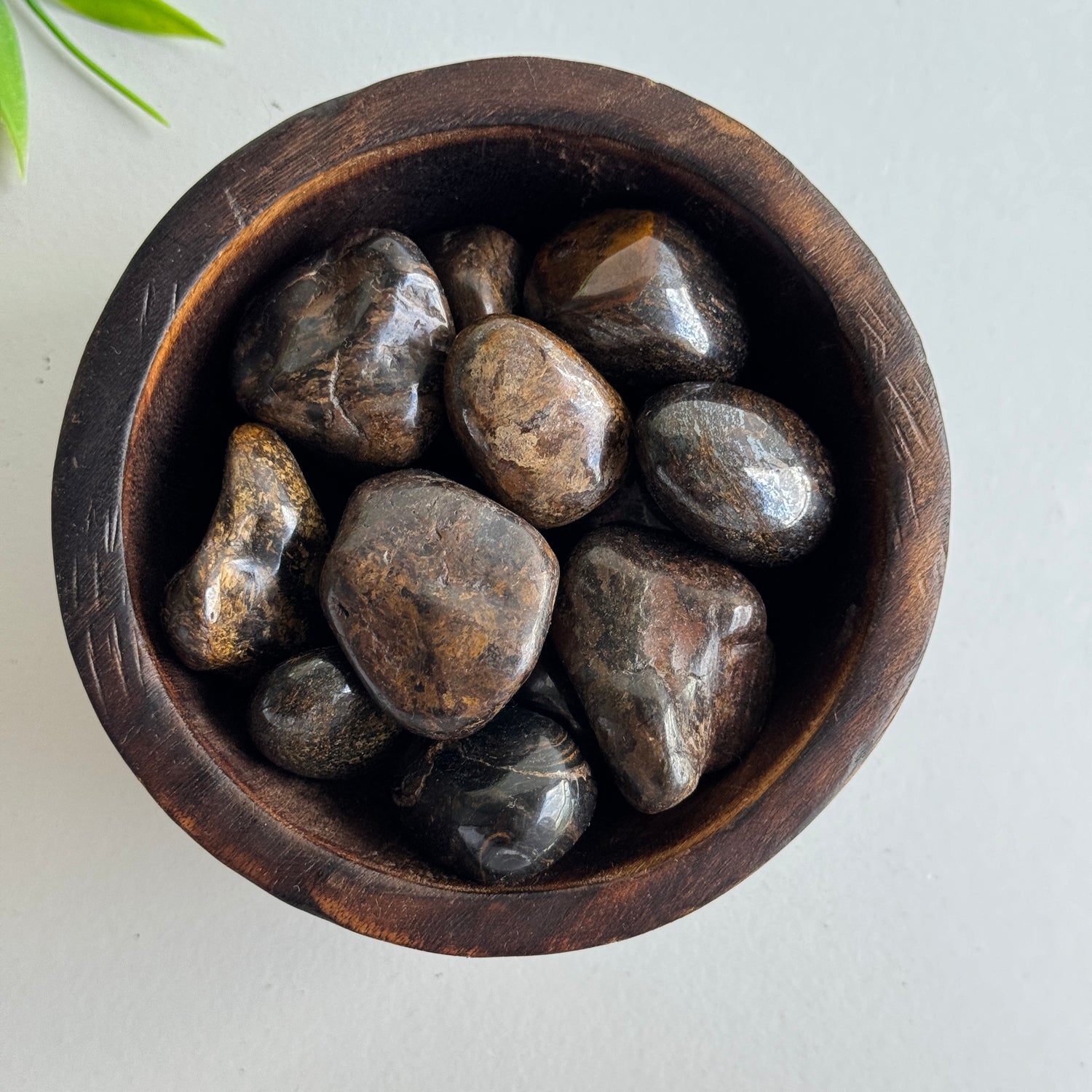 Bronzite Tumbled