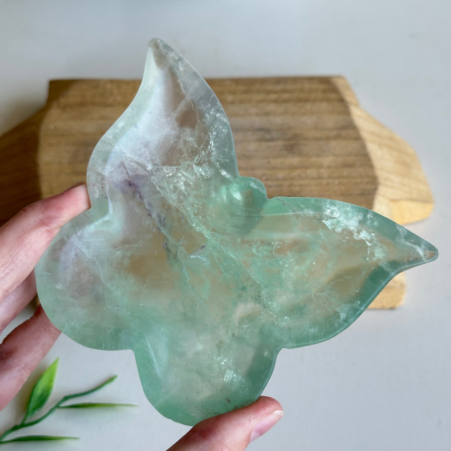 Fluorite Butterfly Bowl 11.6cm
