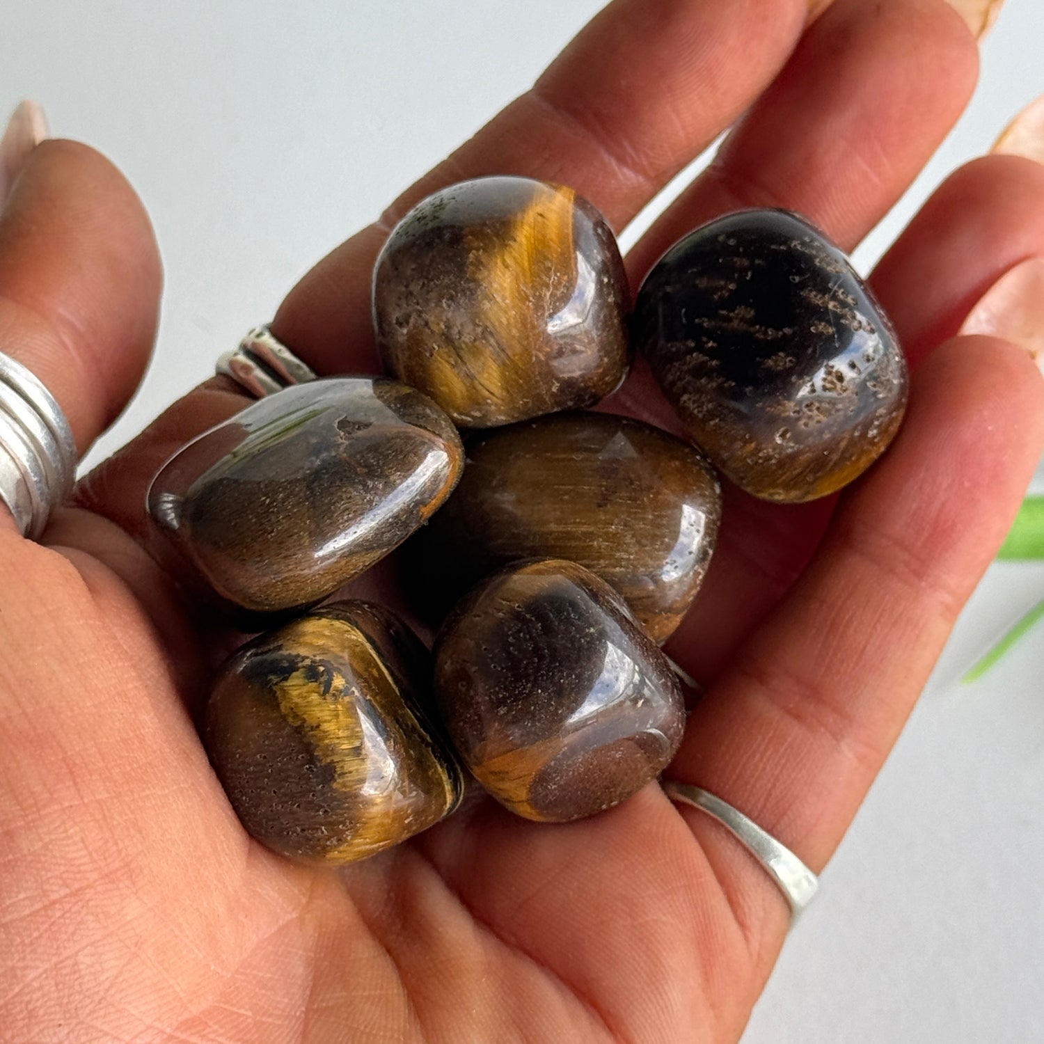 Tigers Eye Tumbled