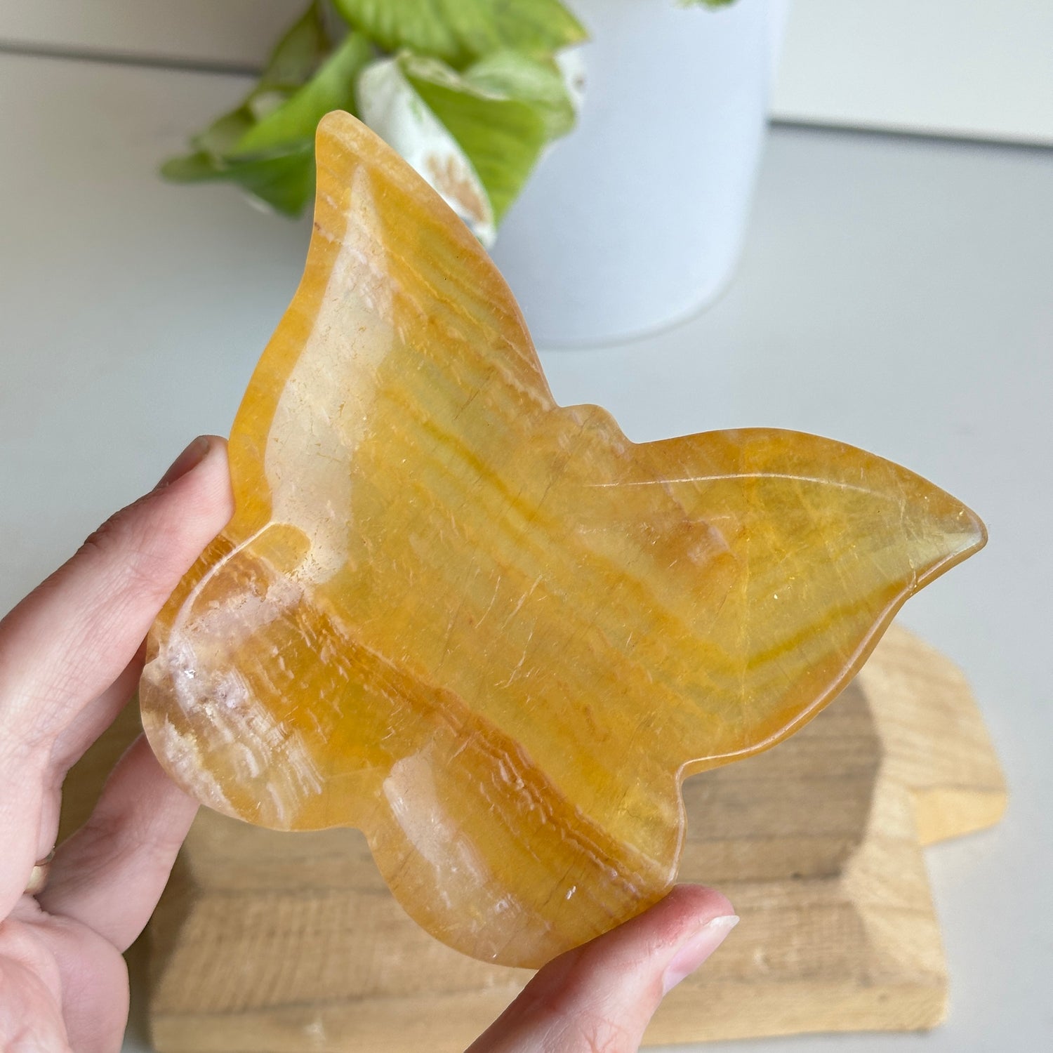 Fluorite Butterfly Bowl 11cm