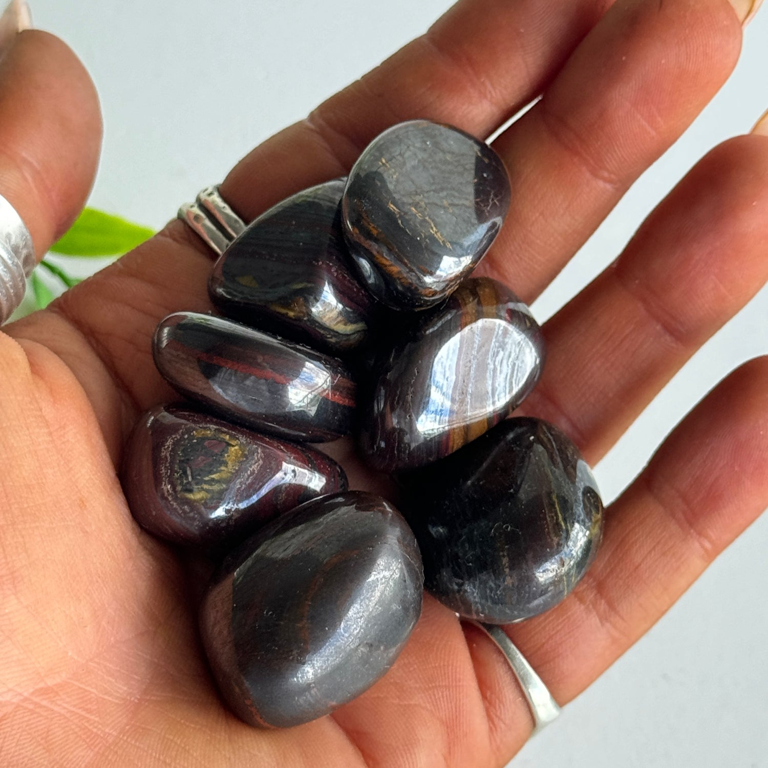 Tigers Iron Tumbled