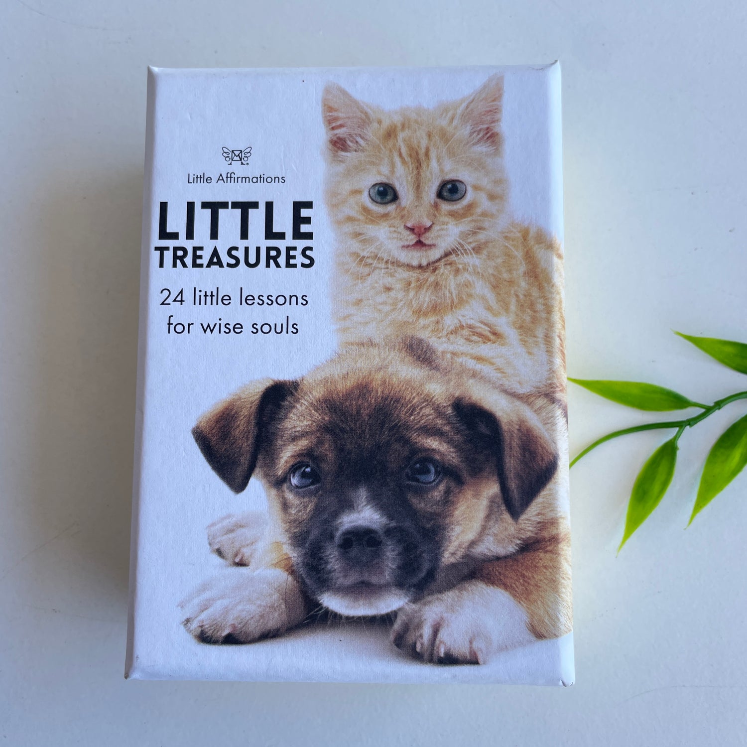 Little Treasures Little Affirmations DLT.
