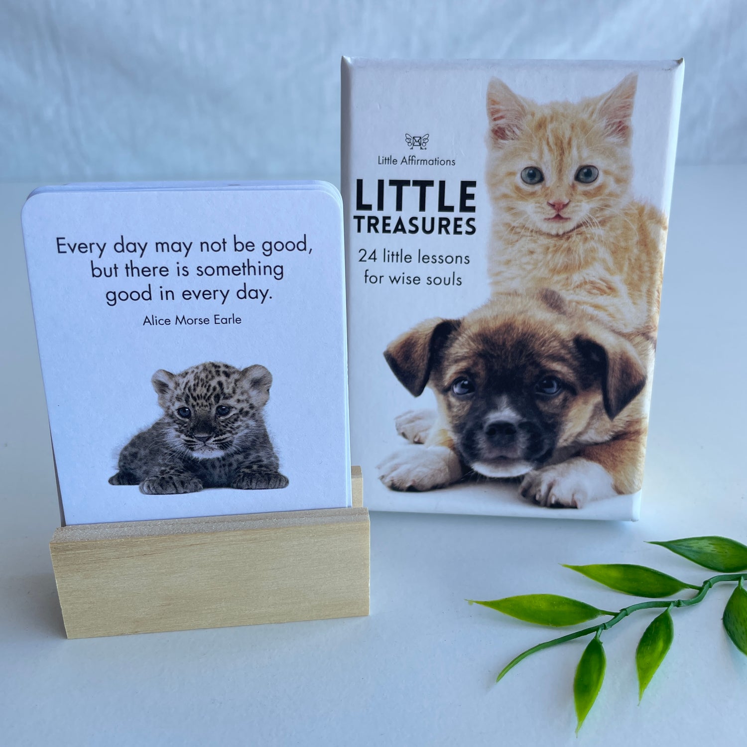Little Treasures Little Affirmations DLT.