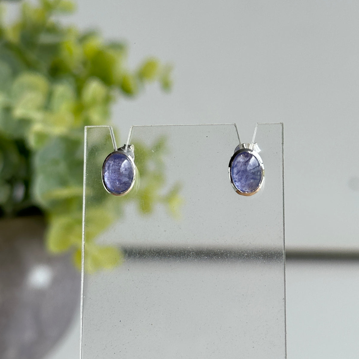 Tanzanite Oval Stud Earrings