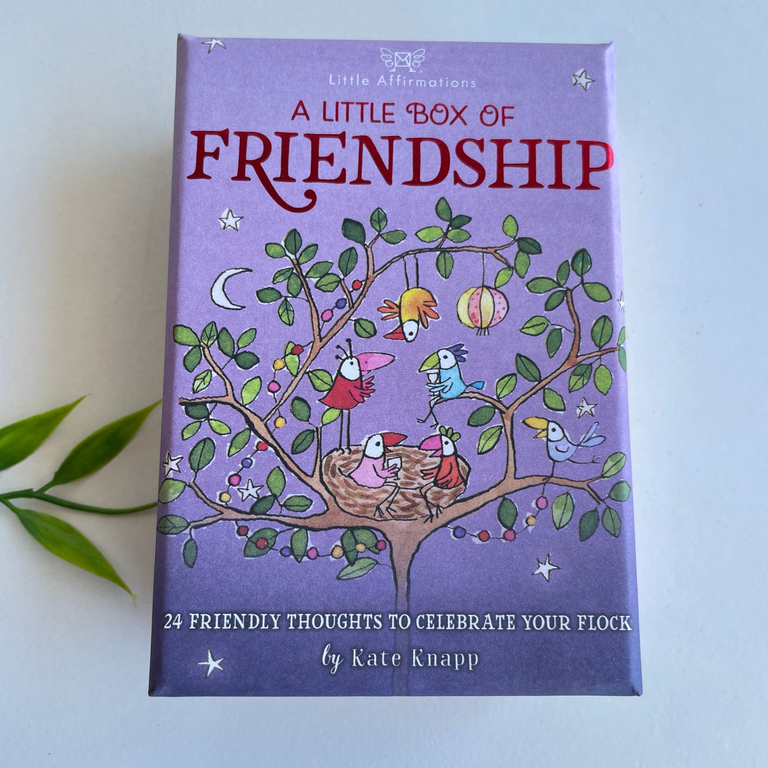 Friendship Little Affirmatons DFP