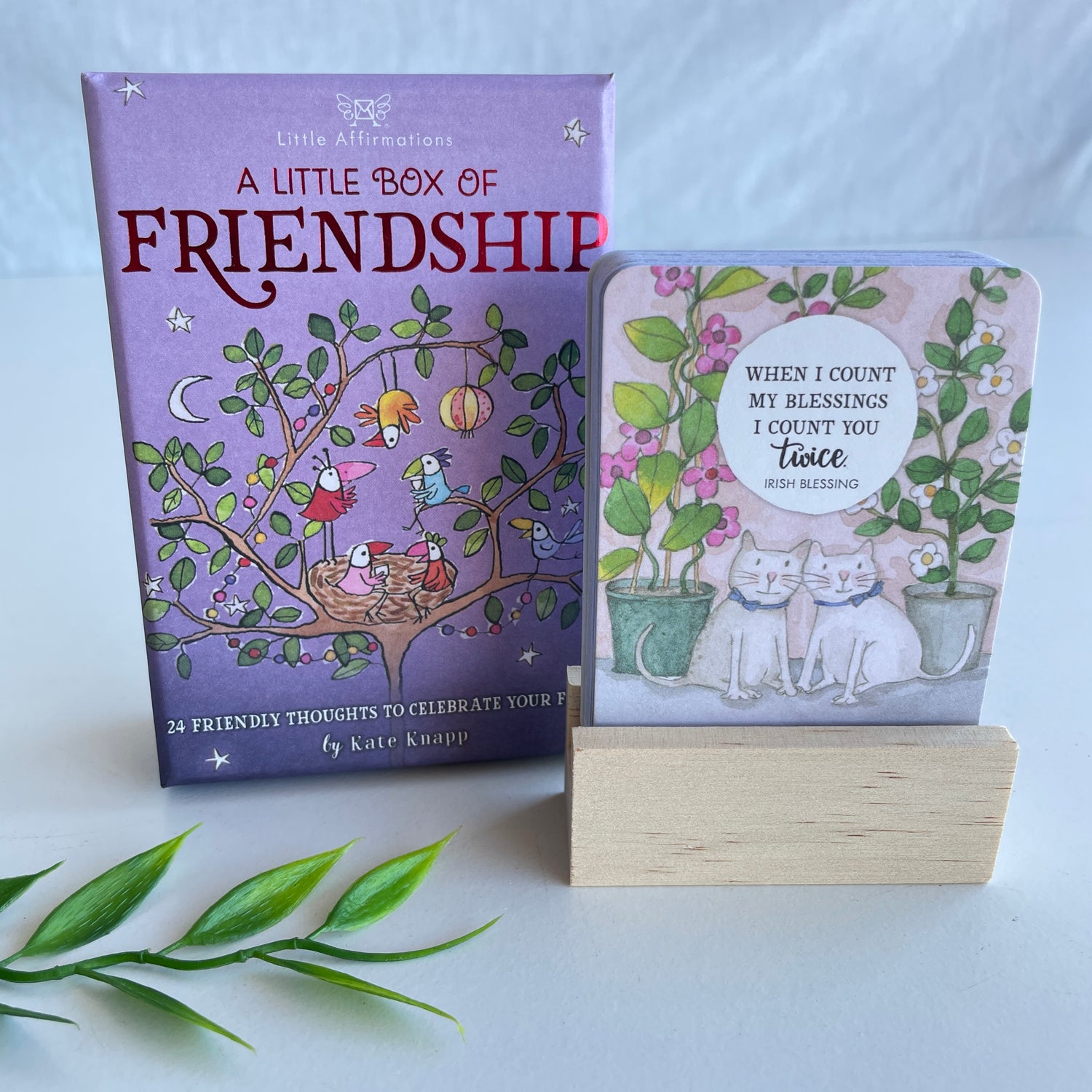 Friendship Little Affirmatons DFP