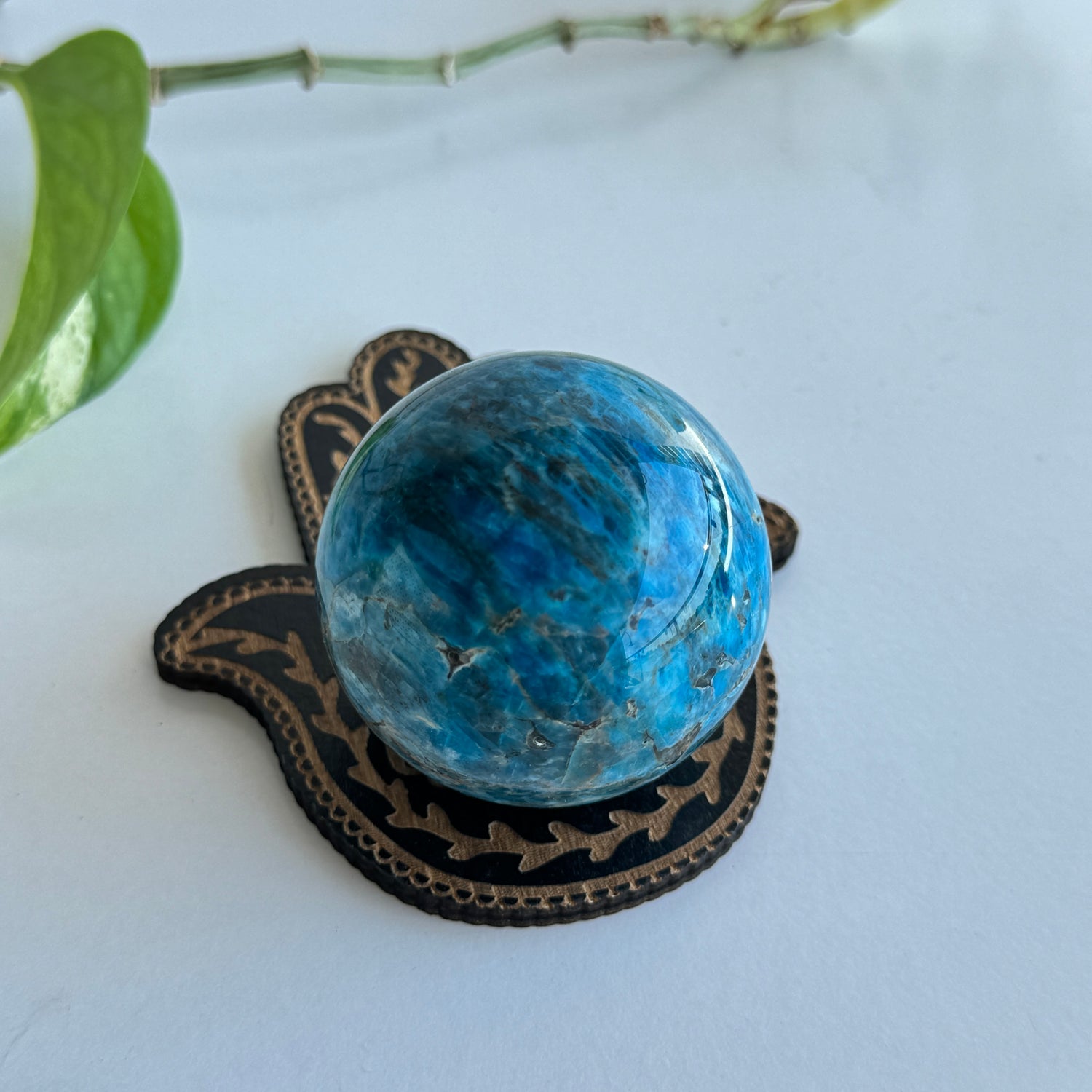 Vine Hand Sphere holder