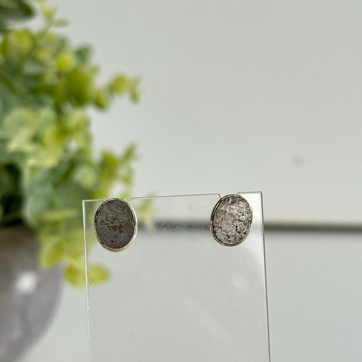 Muonionalusta Meteorite Oval Stud Earrings