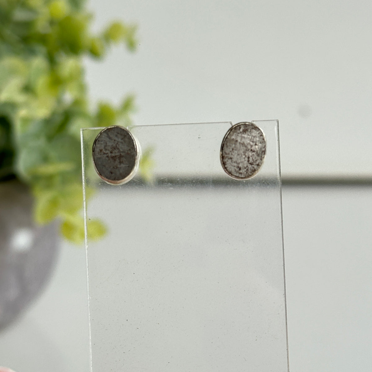 Muonionalusta Meteorite Oval Stud Earrings