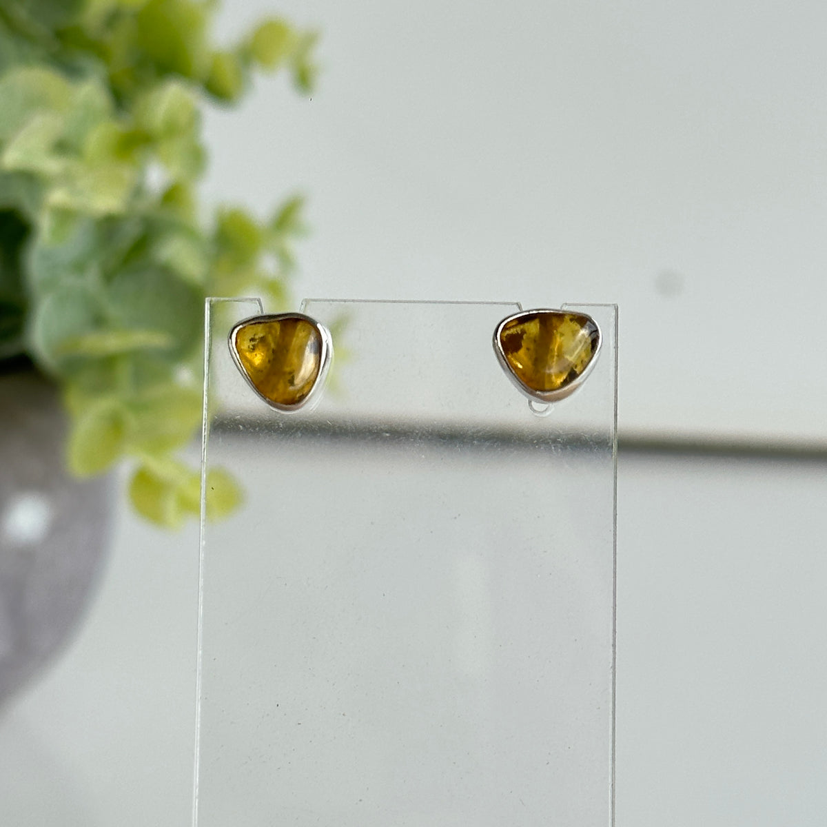 Baltic Amber Stud Earrings