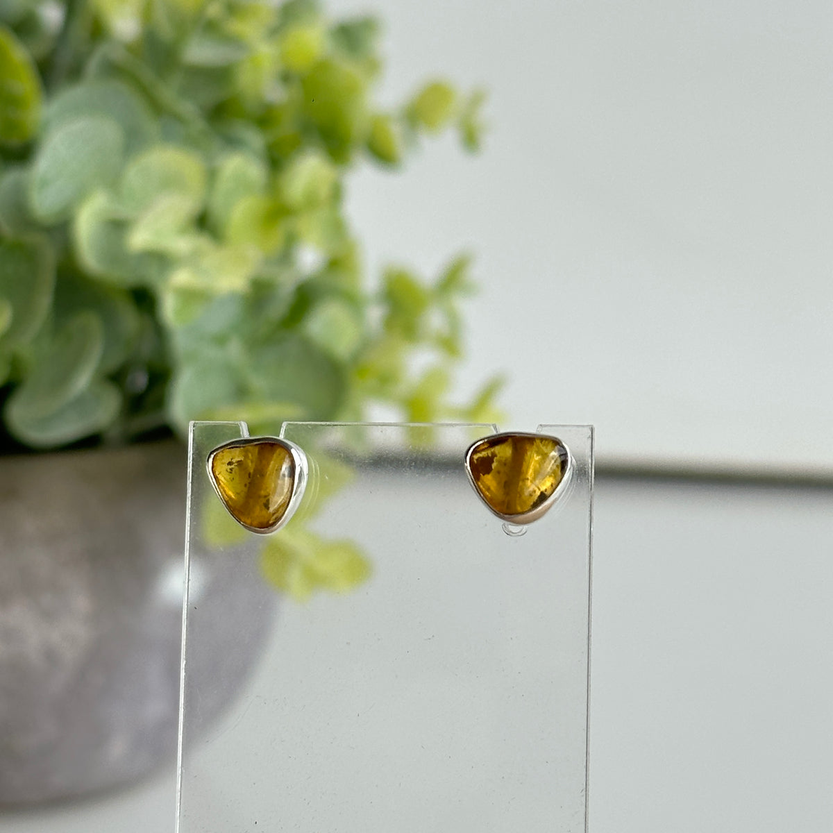 Baltic Amber Stud Earrings