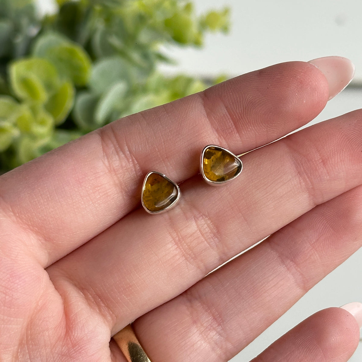 Baltic Amber Stud Earrings