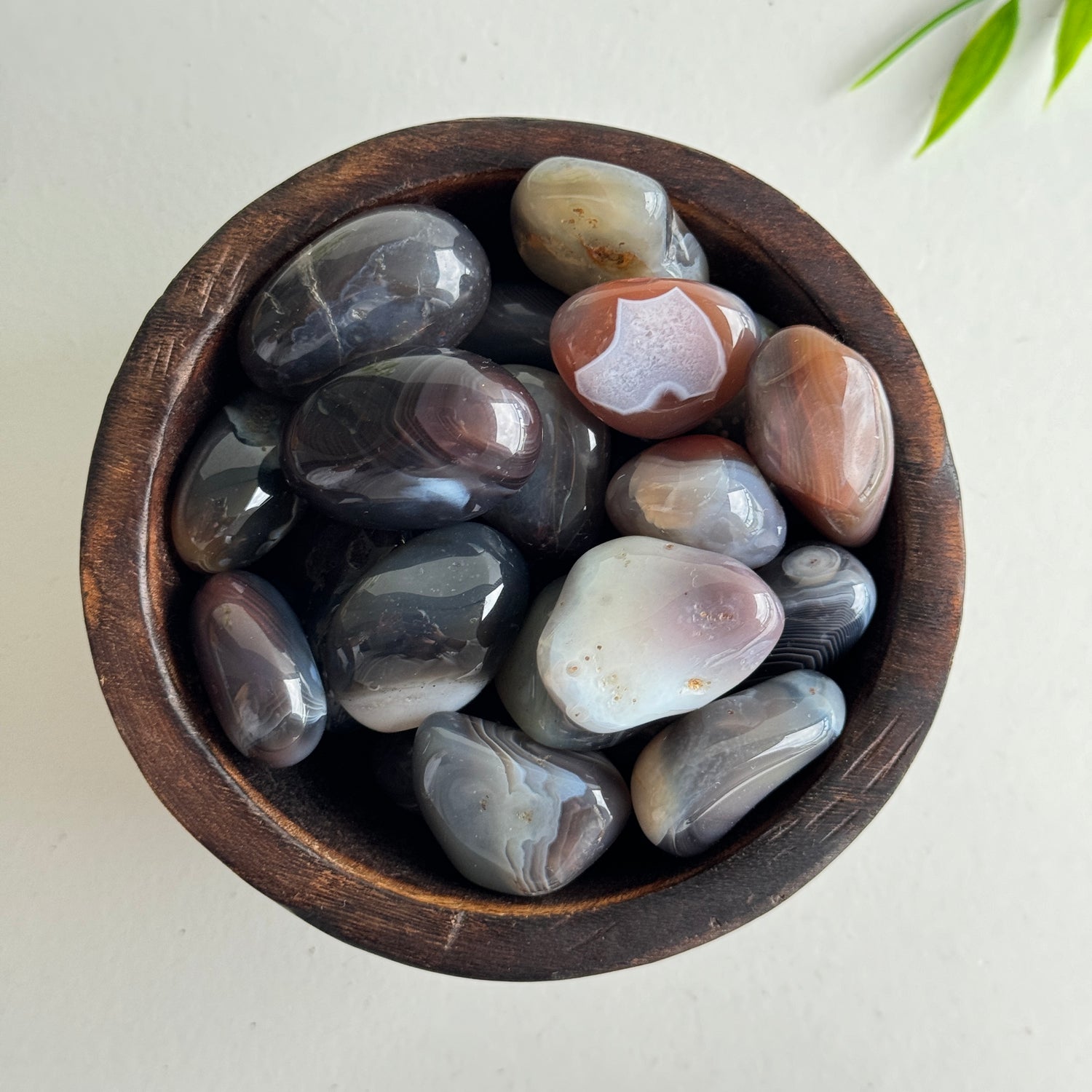 Botswana Agate Tumbled