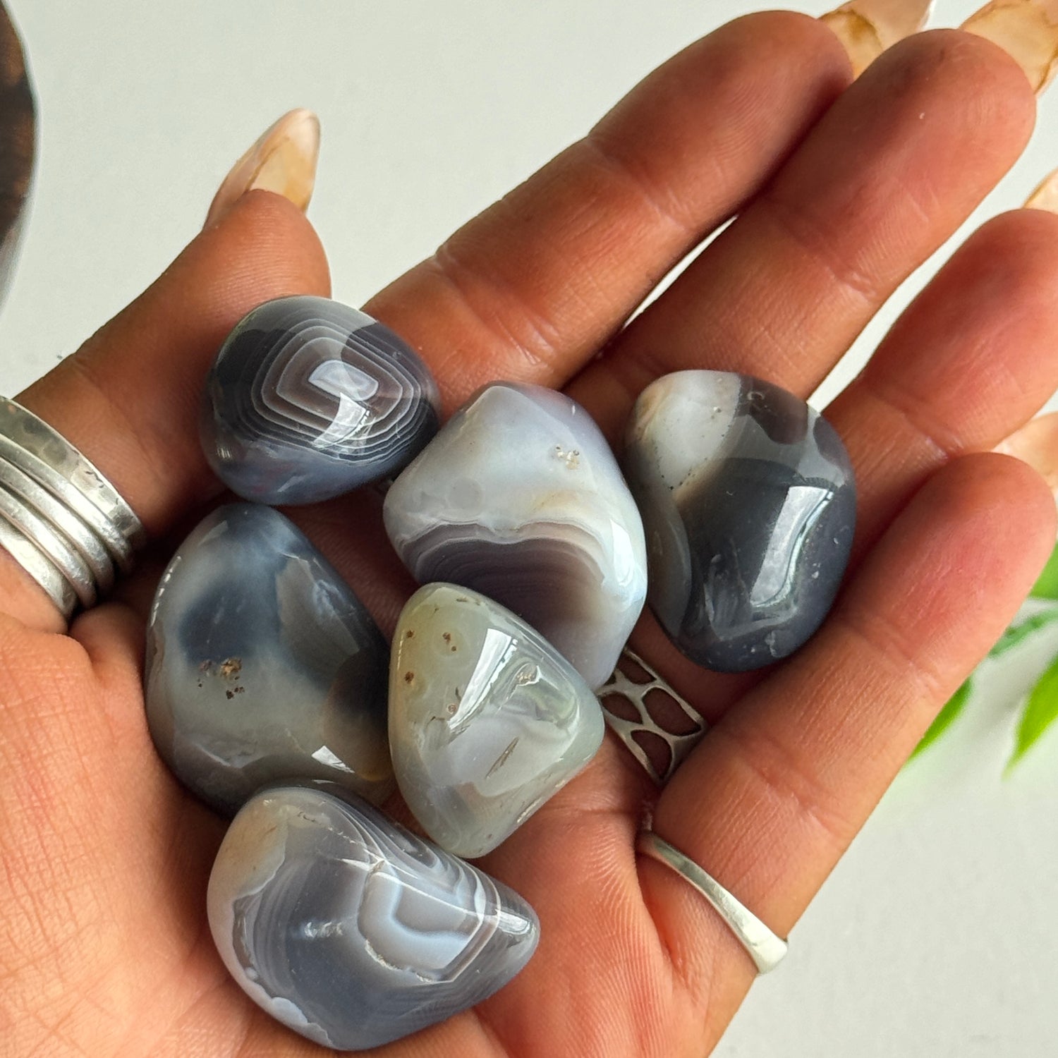 Botswana Agate Tumbled