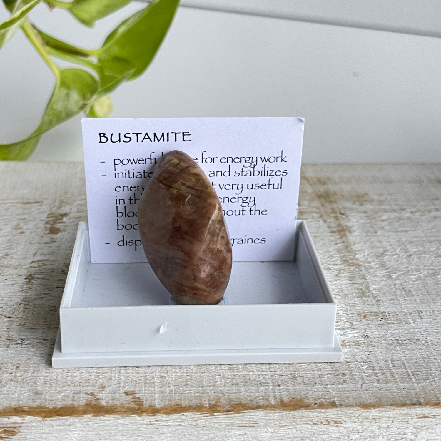 Bustamite Specimen 001