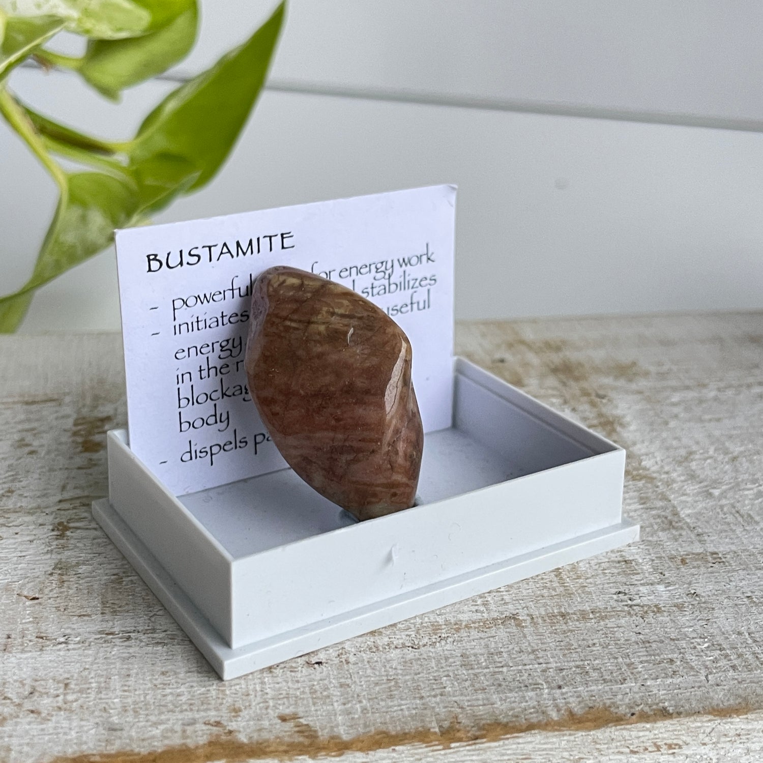 Bustamite Specimen 001