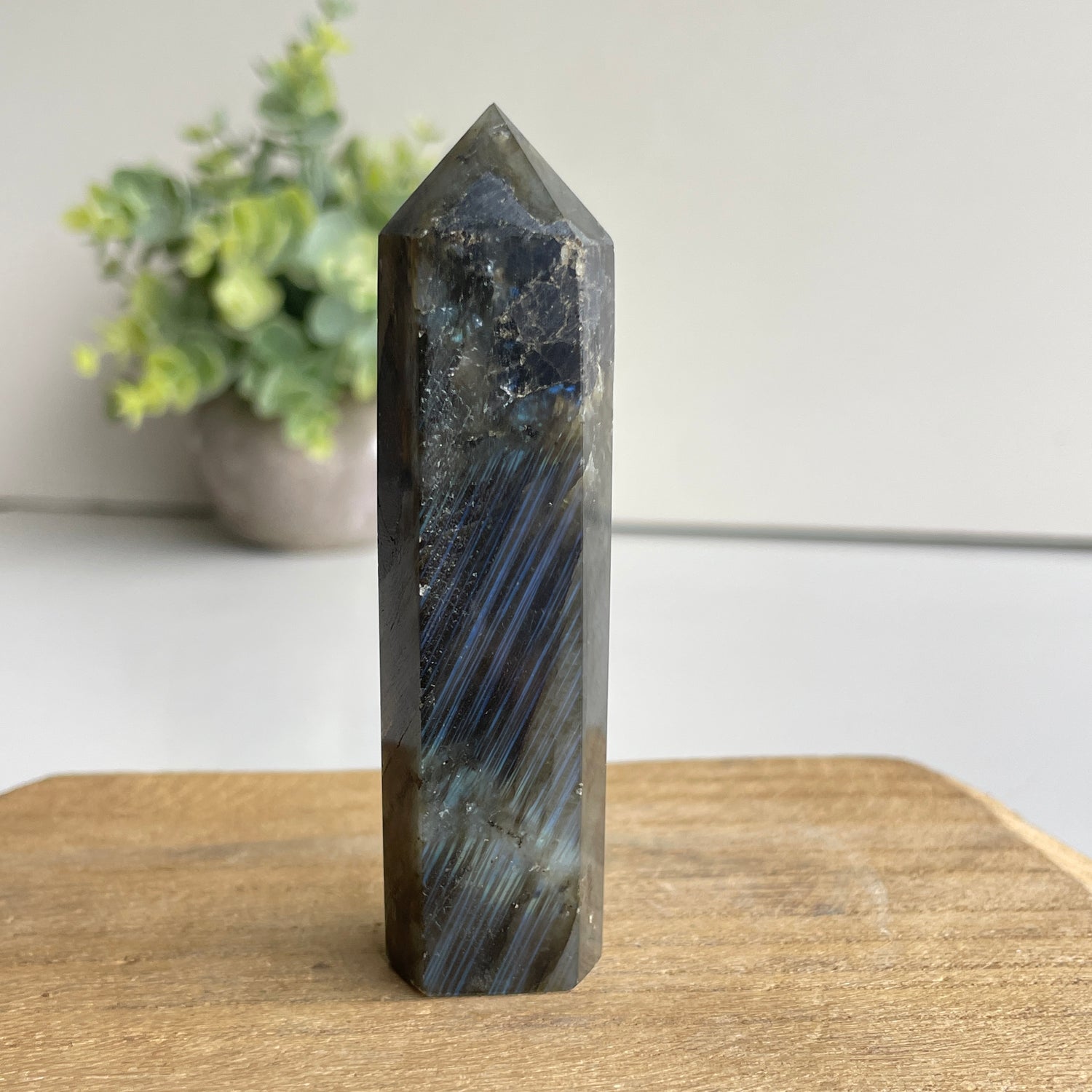 Labradorite Generator 8.5cm