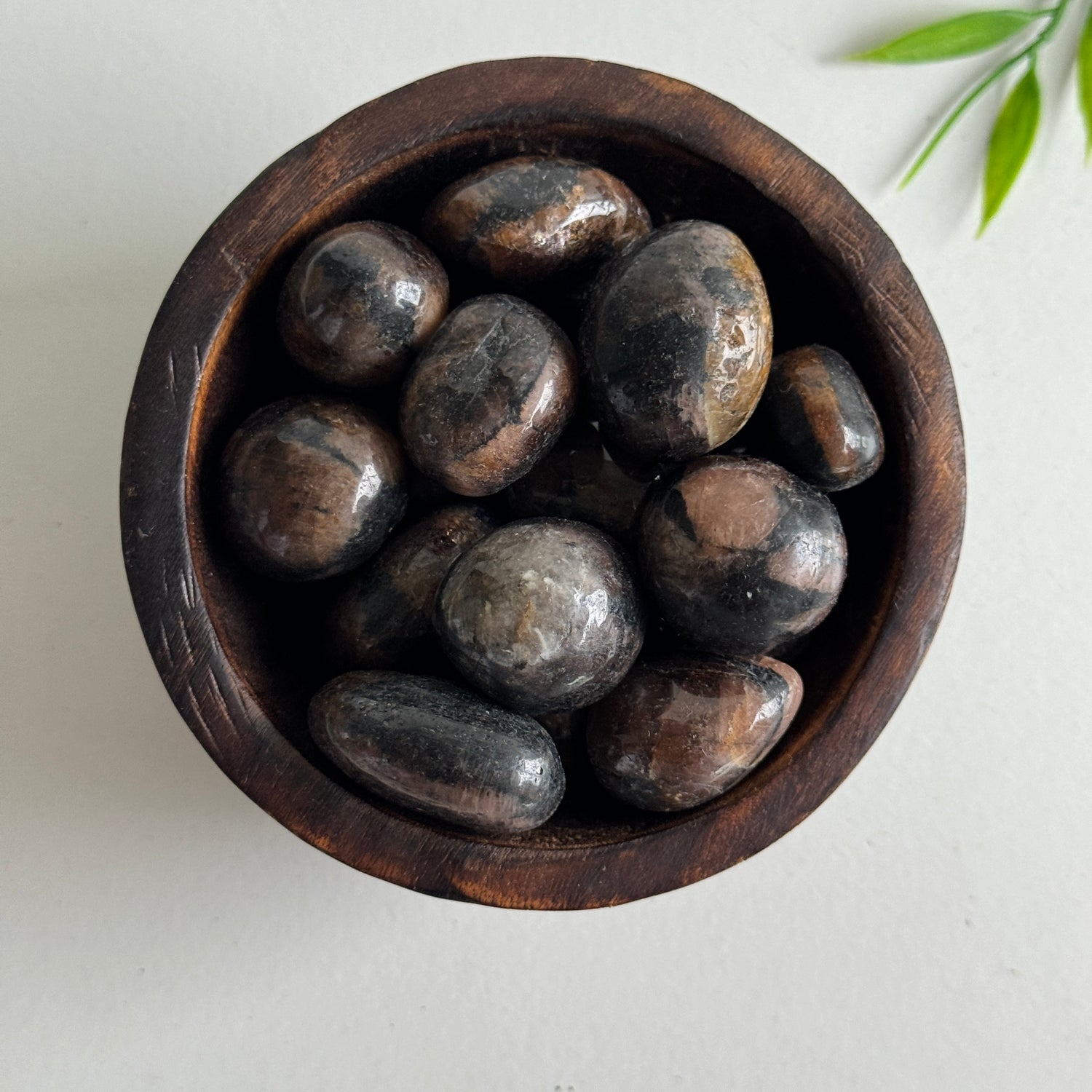 Chiastolite Tumbled