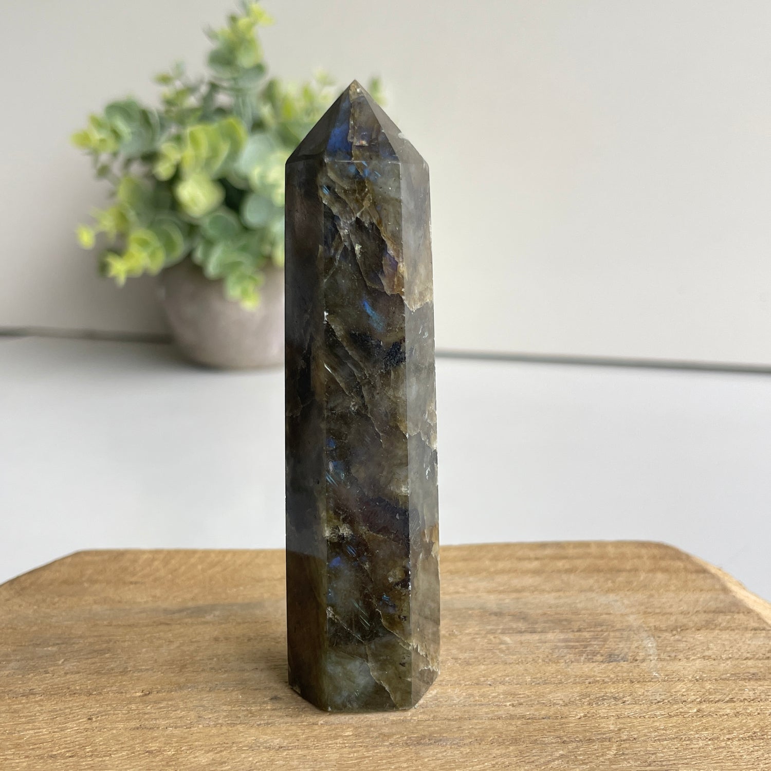 Labradorite Generator 9.1cm