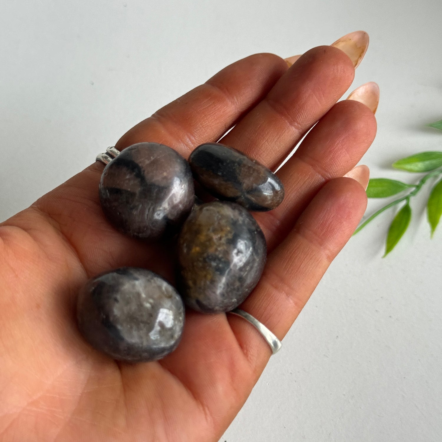 Chiastolite Tumbled