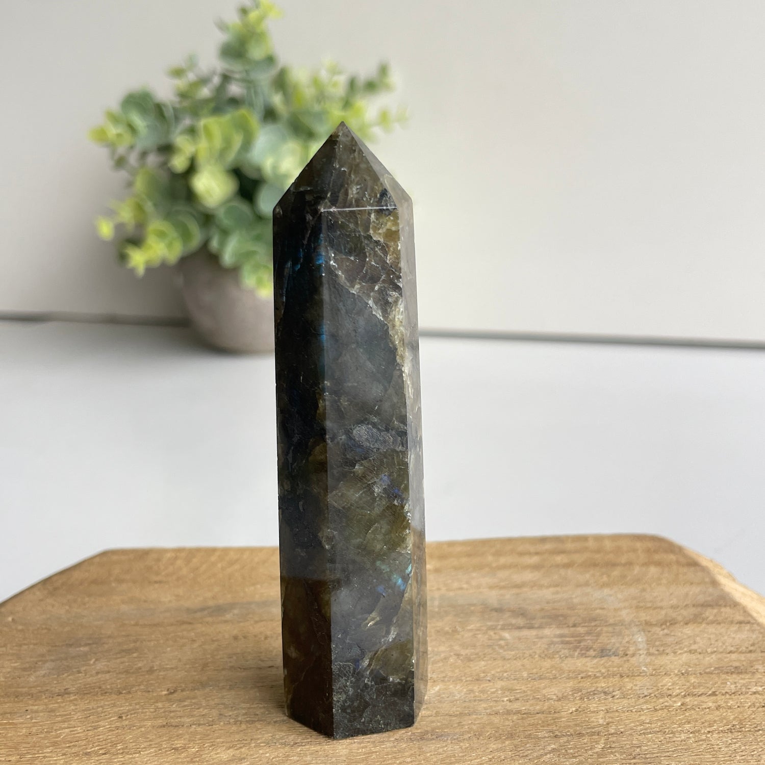 Labradorite Generator 9.1cm