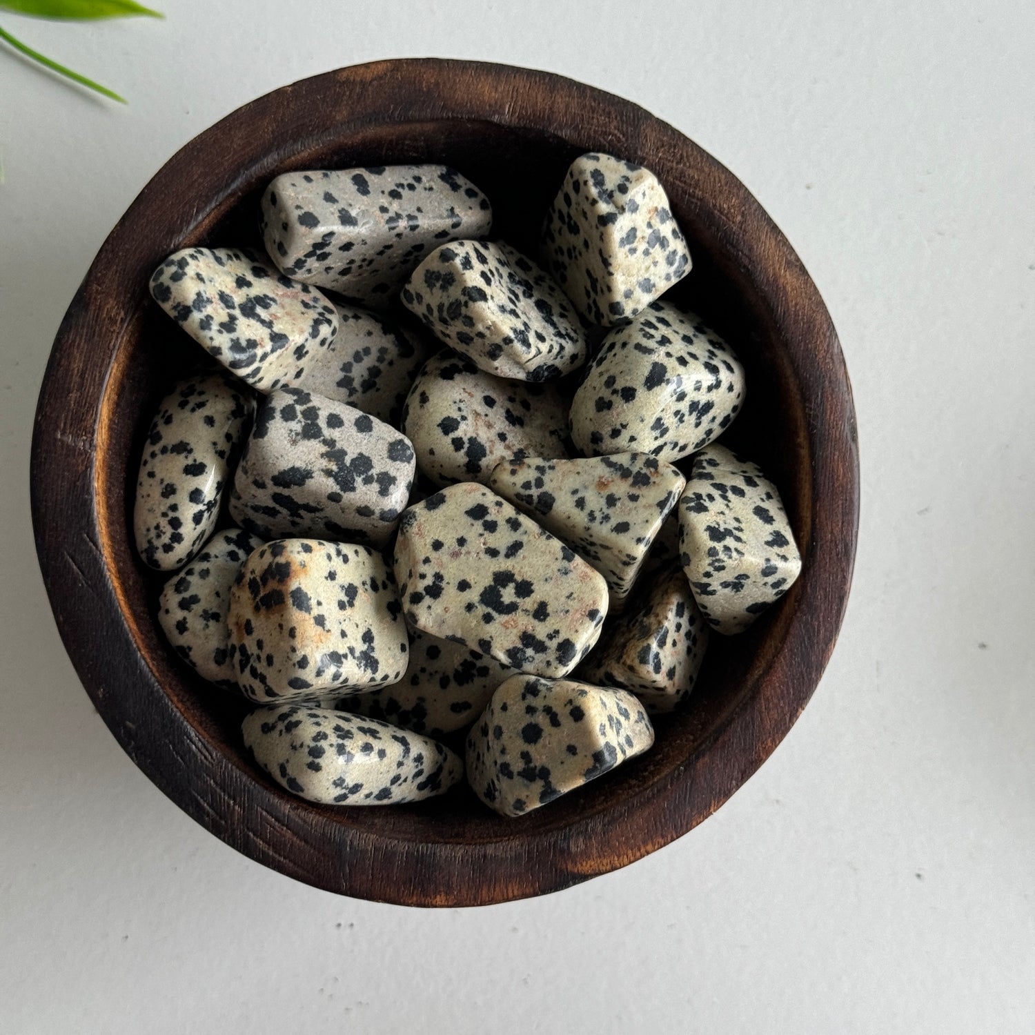 Dalmatian Jasper Tumbled