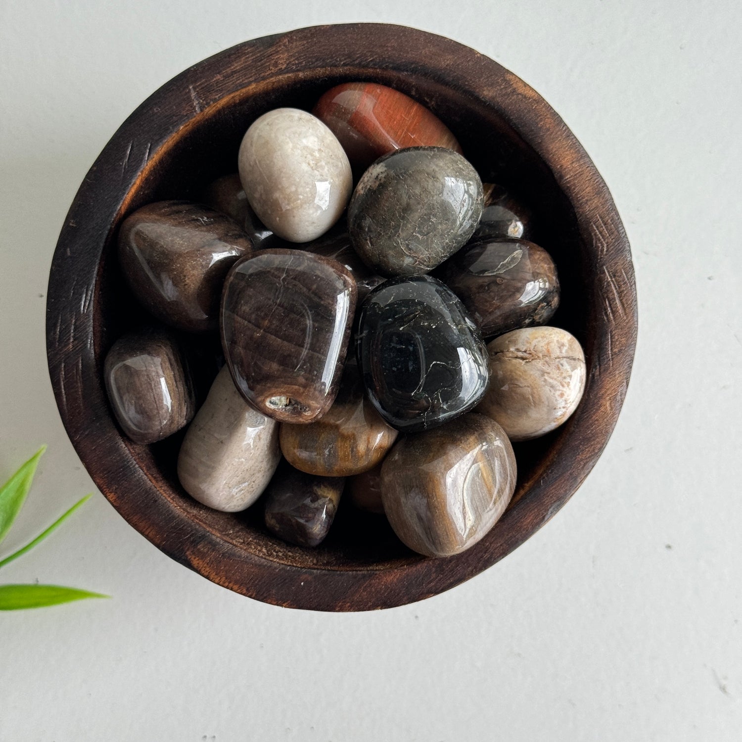 Petrified Wood Tumbled