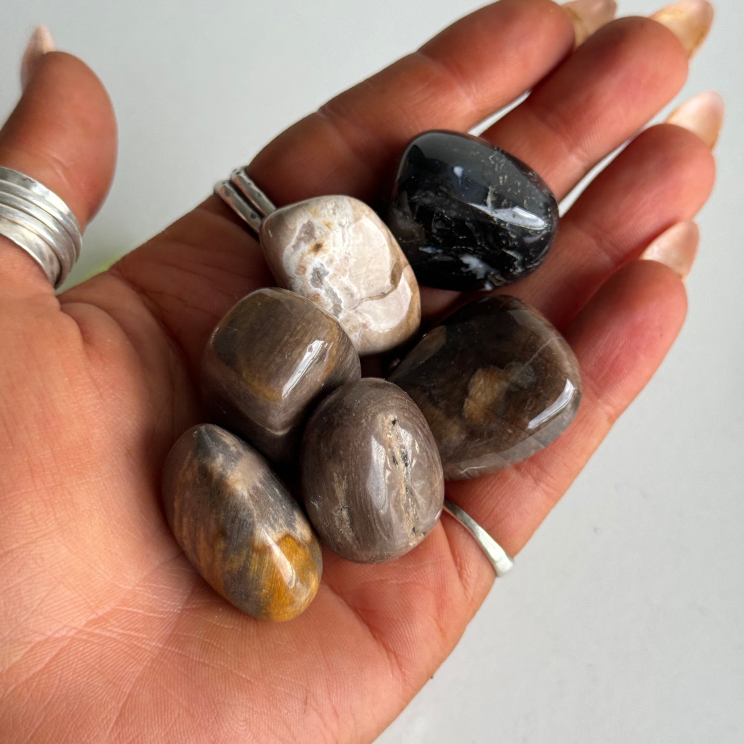 Petrified Wood Tumbled