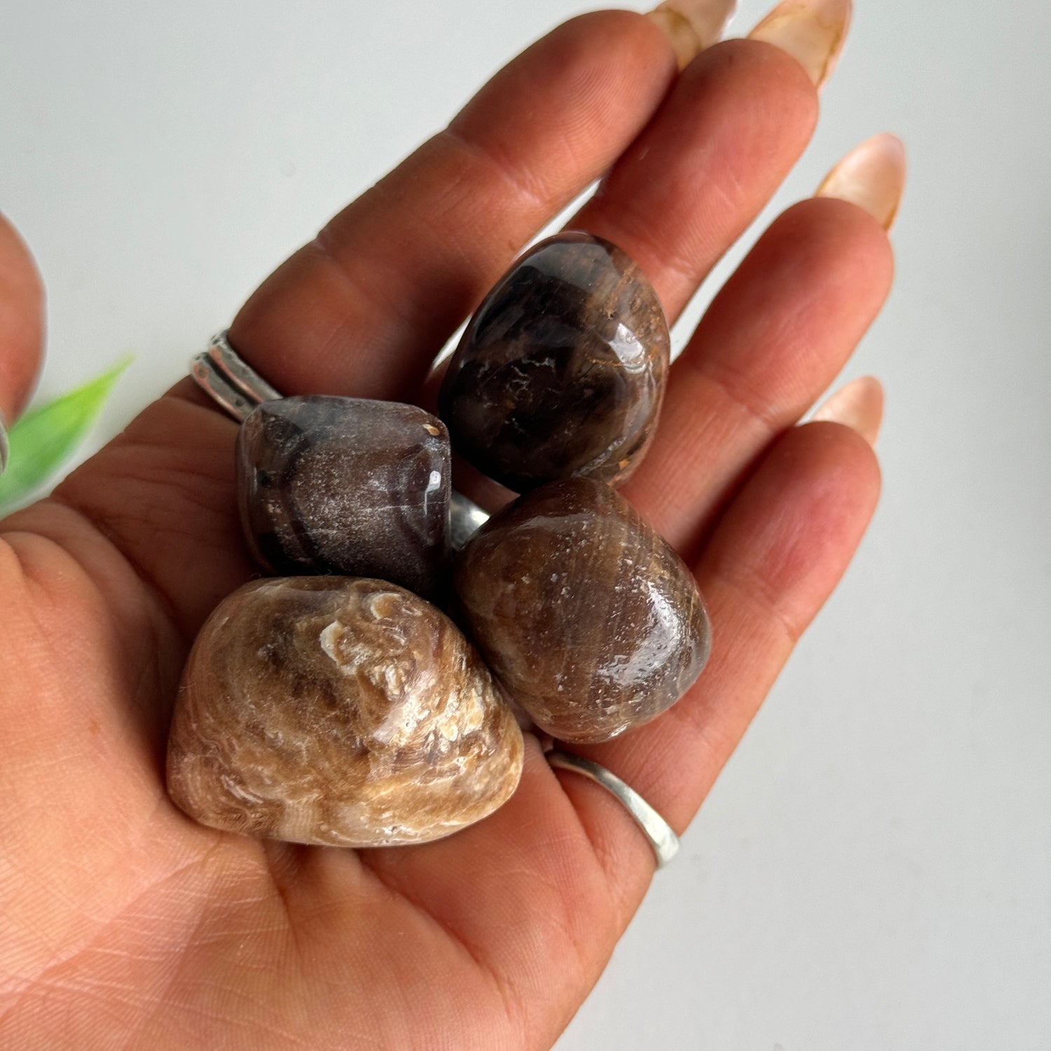 Chocolate Calcite Tumbled