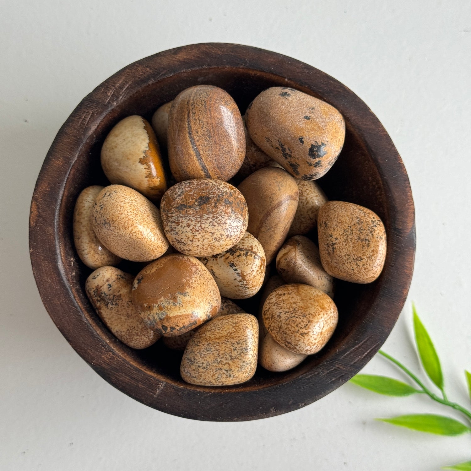 Picture Jasper Tumbled