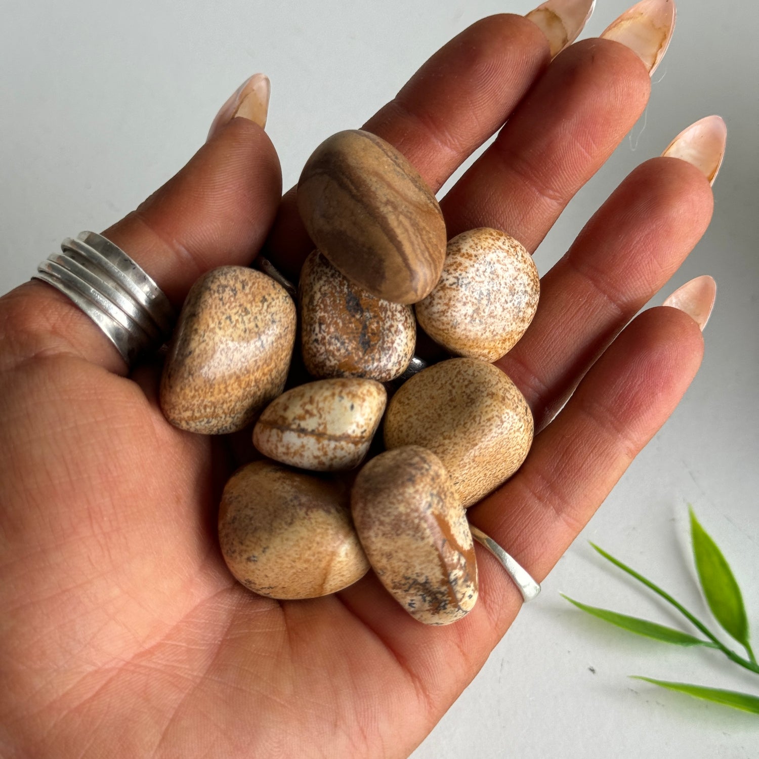 Picture Jasper Tumbled
