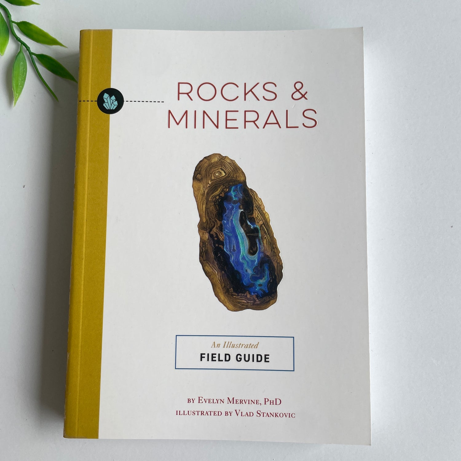 Rocks and Minerals Evelyn Mervine