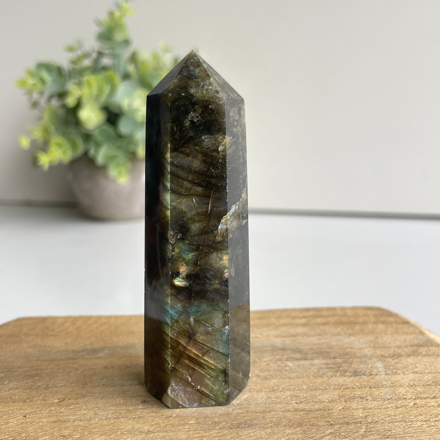 Labradorite Generator 8.1cm
