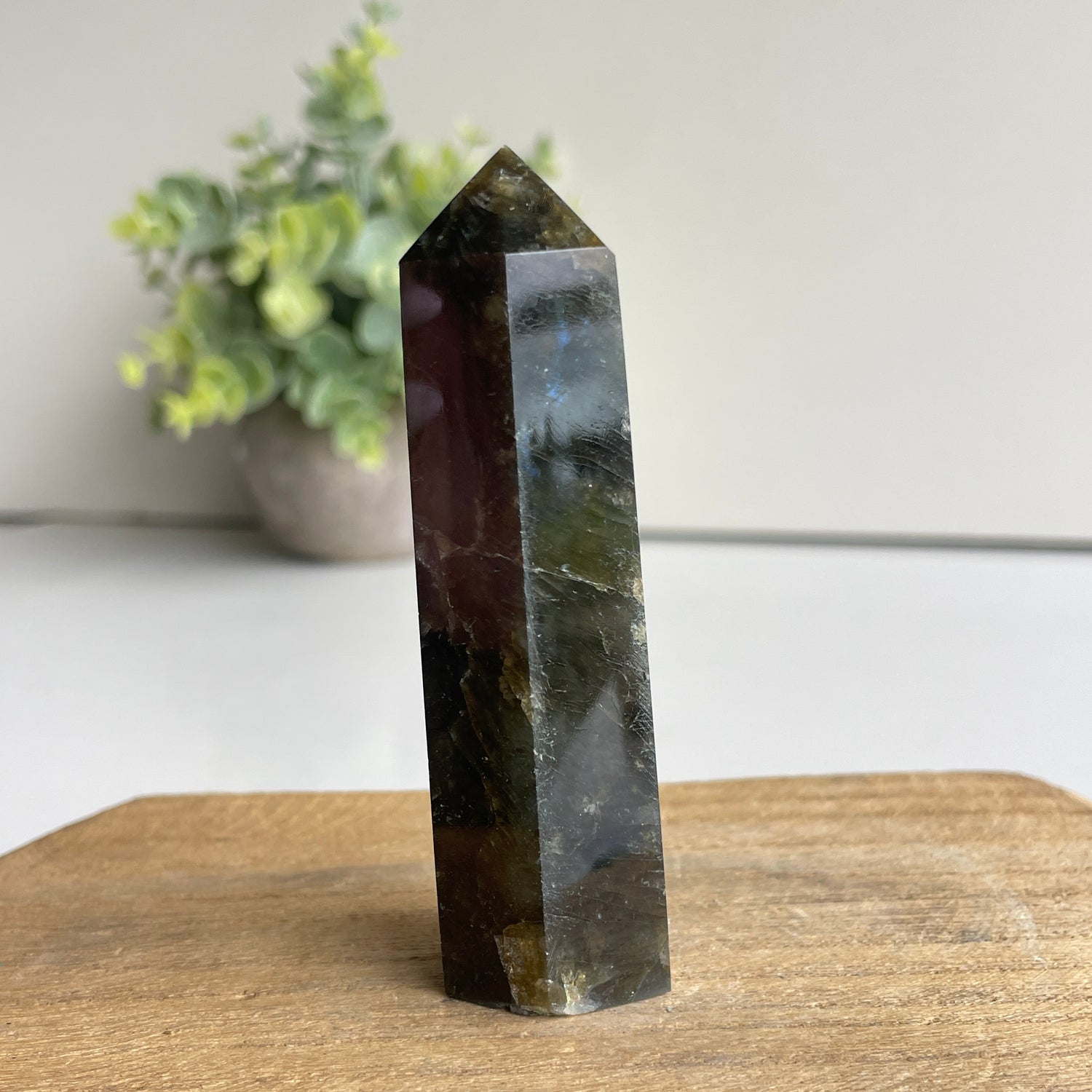 Labradorite Generator 8.1cm