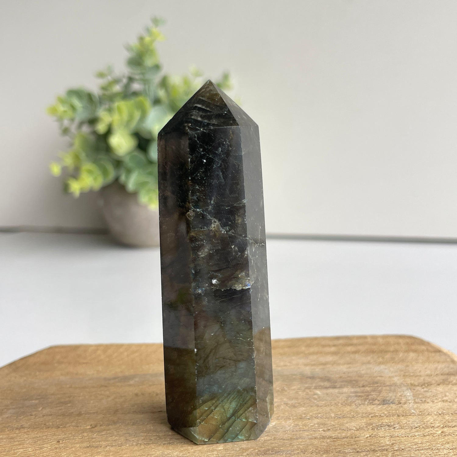 Labradorite Generator 8.1cm