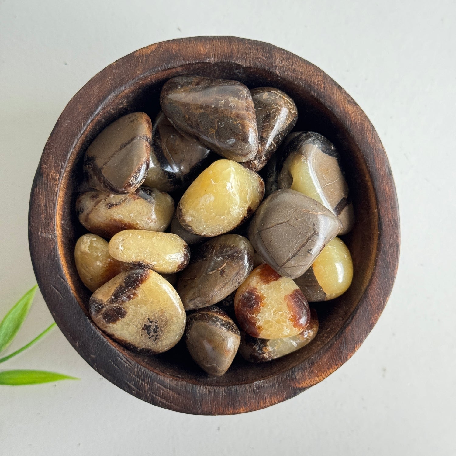 Septarian Tumbled