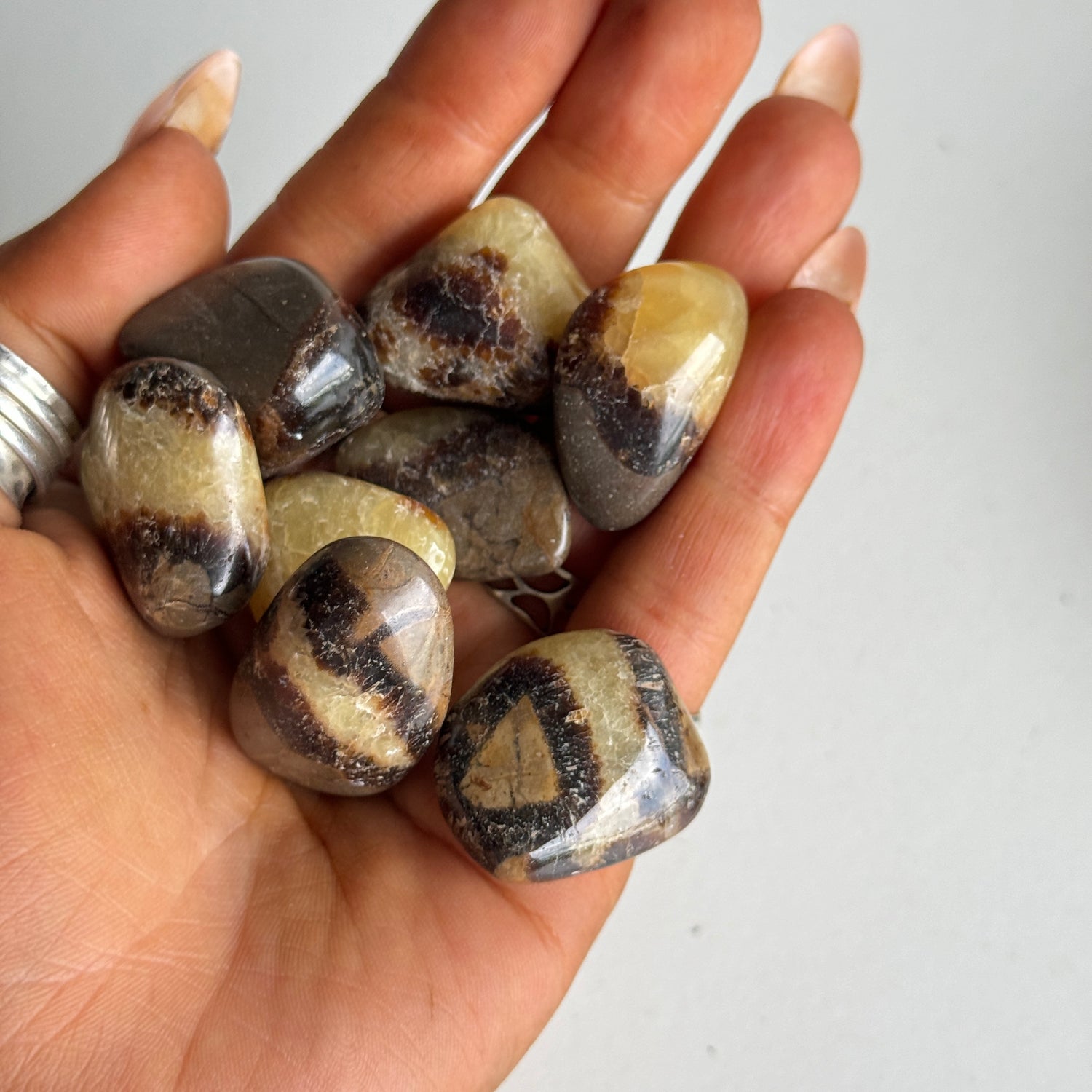 Septarian Tumbled