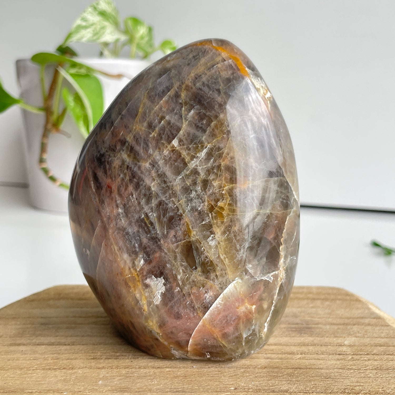 Black Moonstone Freeform 10.5cm