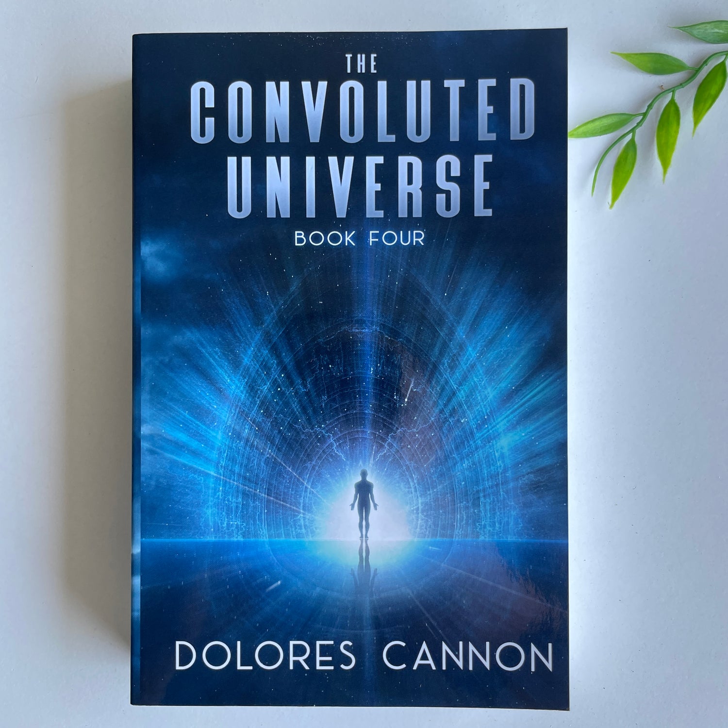 Convoluted Universe Book 4 Dolores Cannon
