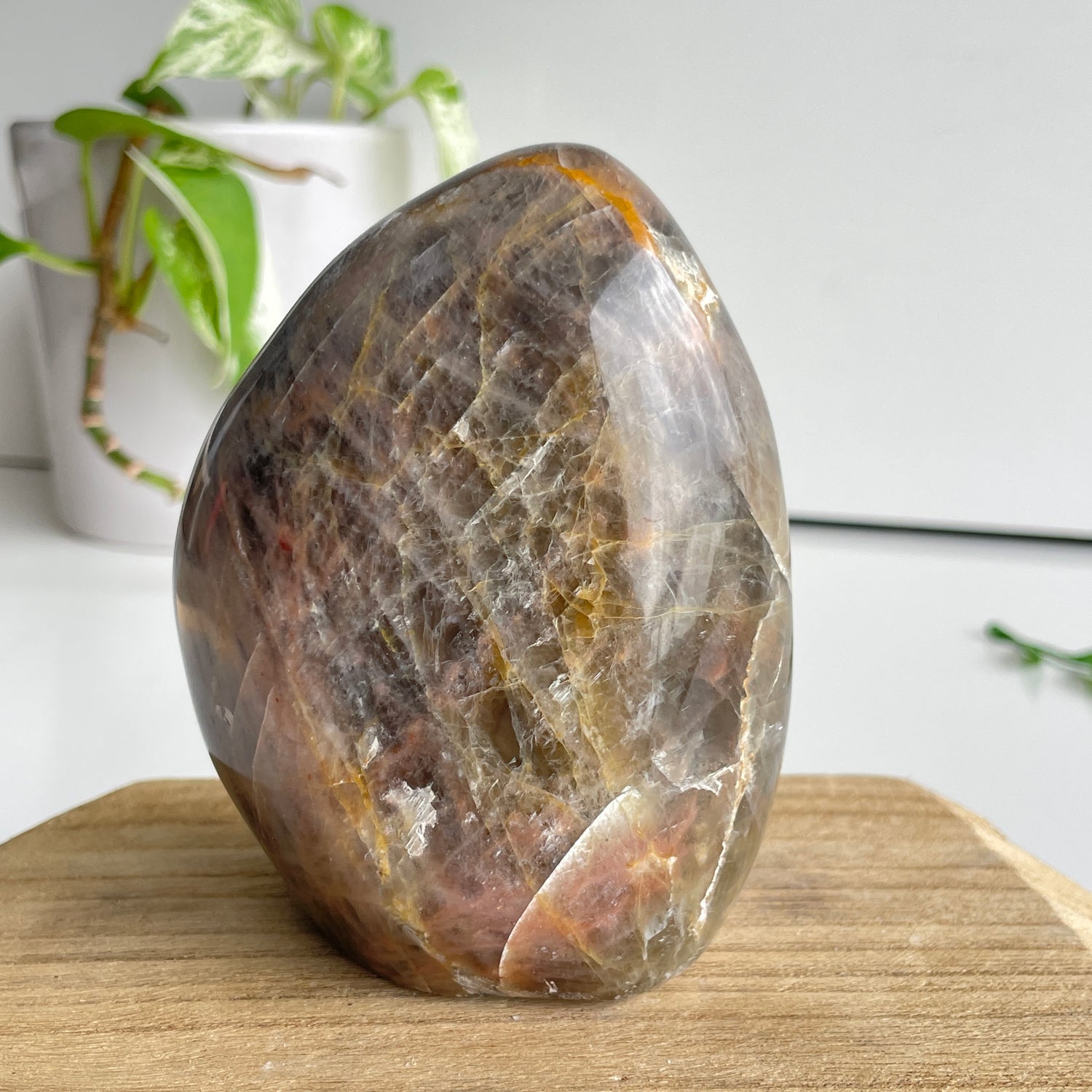 Black Moonstone Freeform 10.5cm