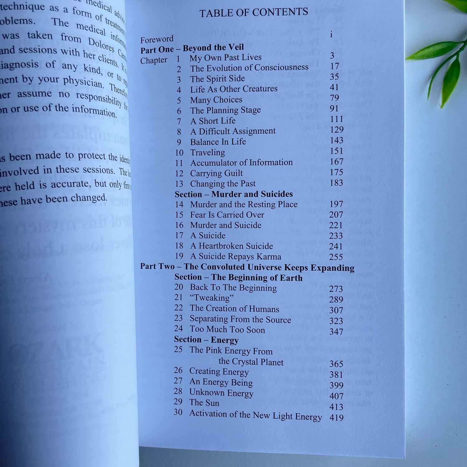 Convoluted Universe Book 4 Dolores Cannon