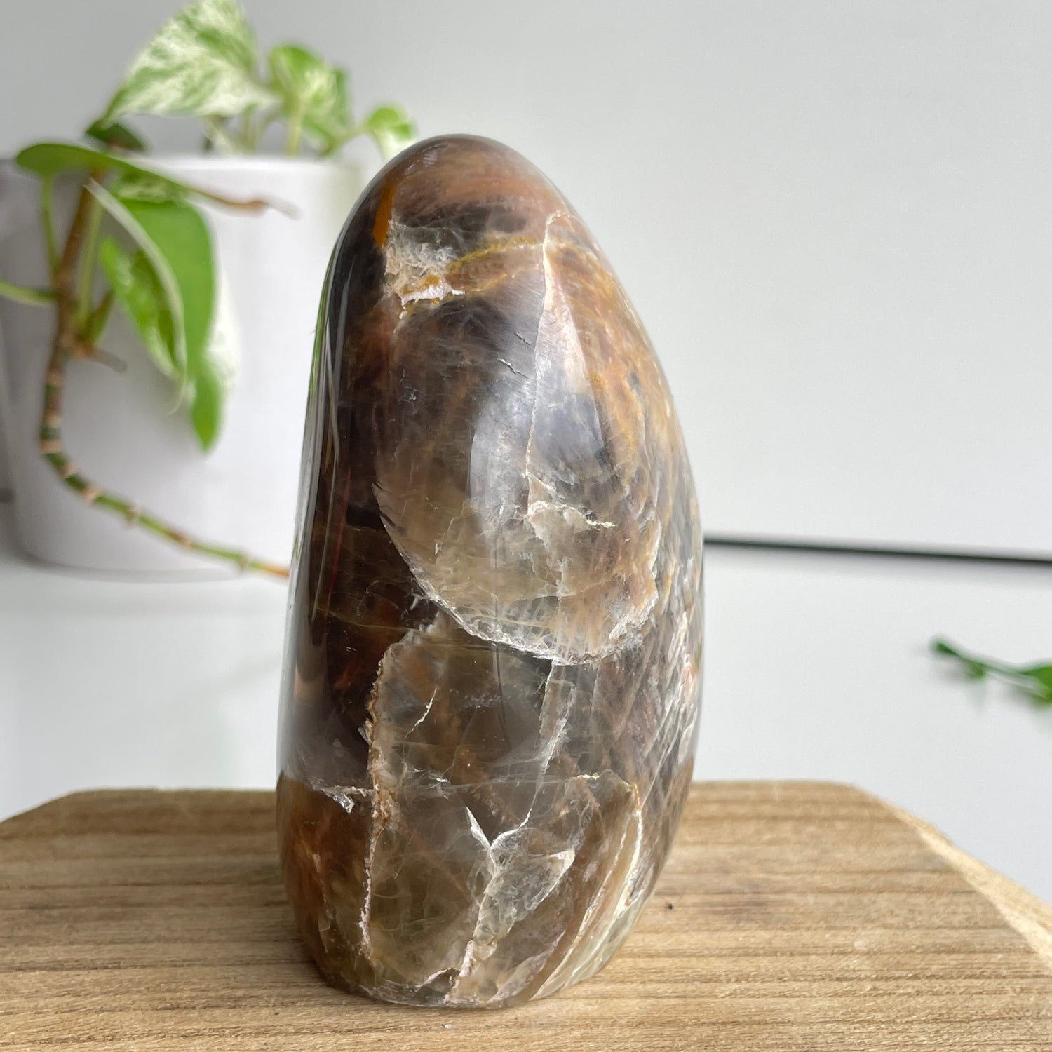 Black Moonstone Freeform 10.5cm