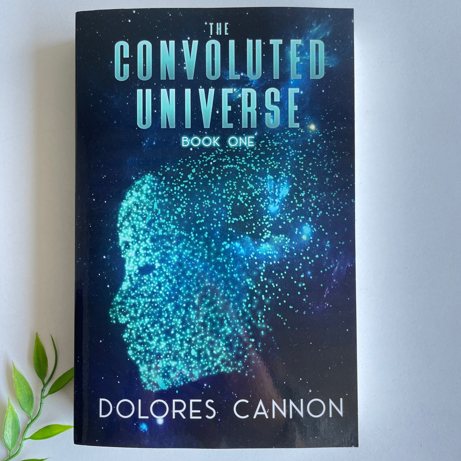 The Convoluted Universe Book One Dolores Cannon