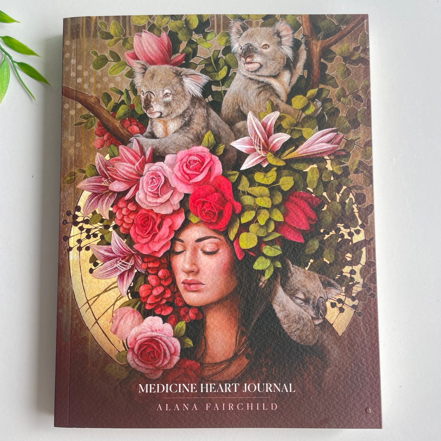 Medicine Heart Journal