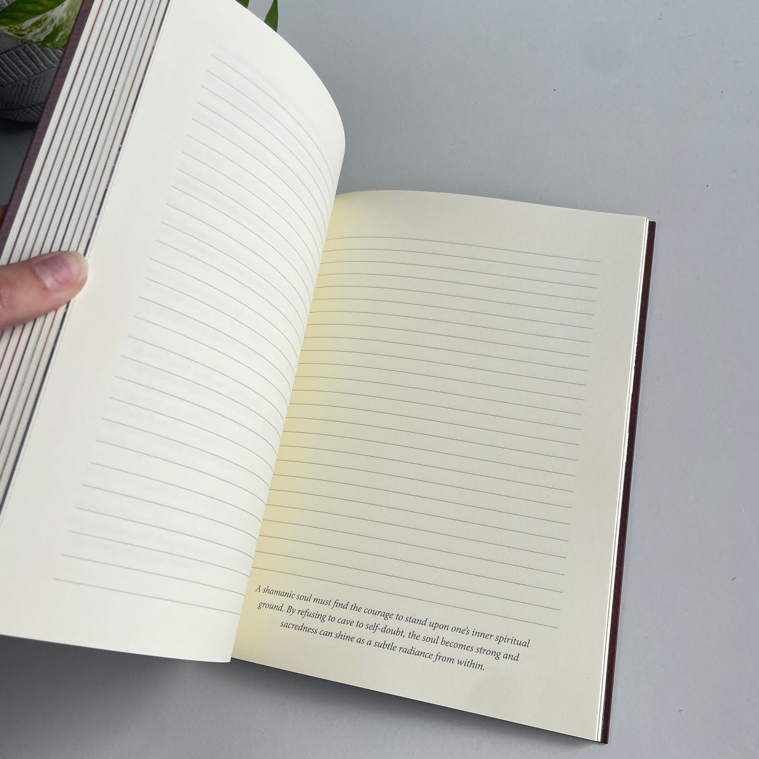 Medicine Heart Journal