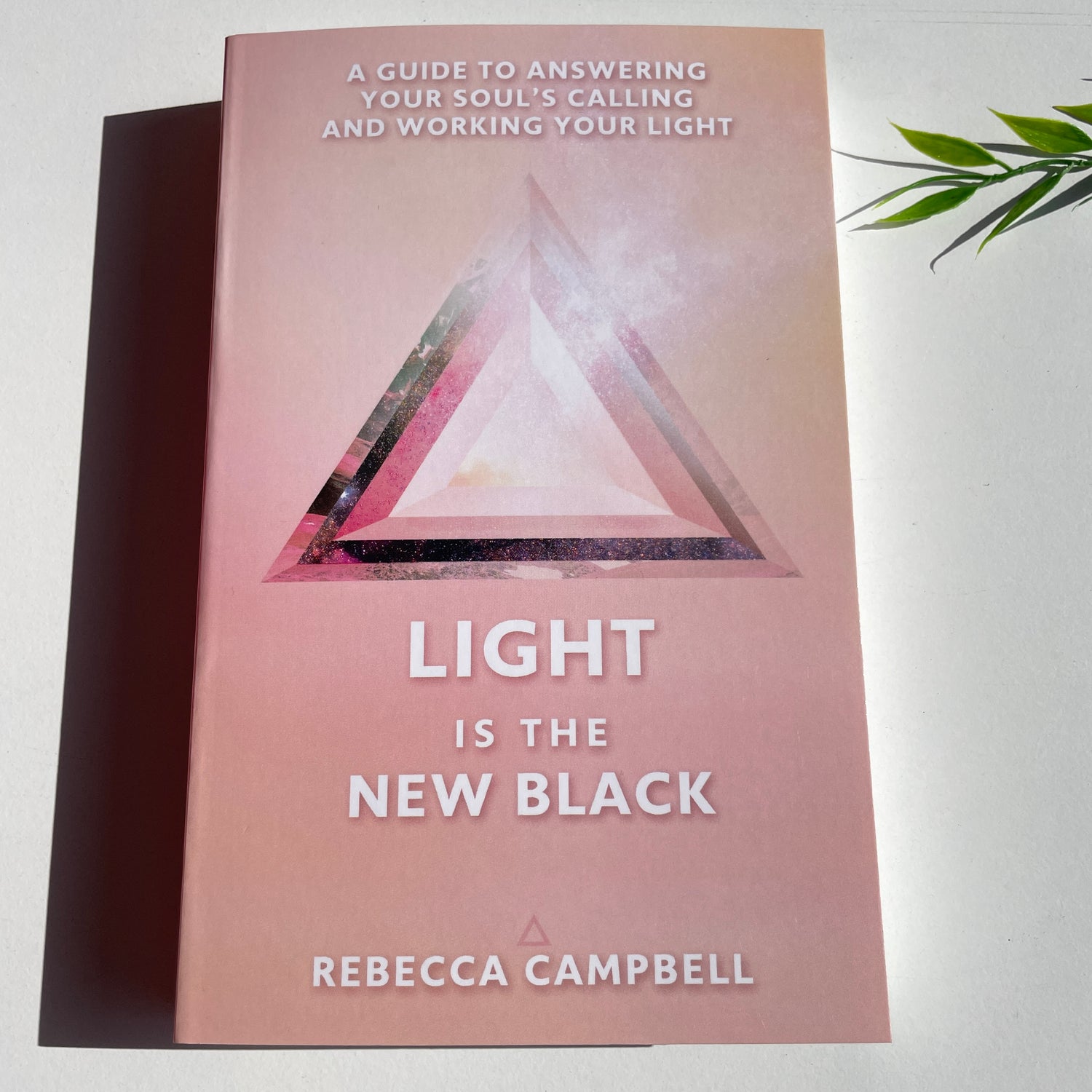 Light Is The New Black Rebecca Campbell