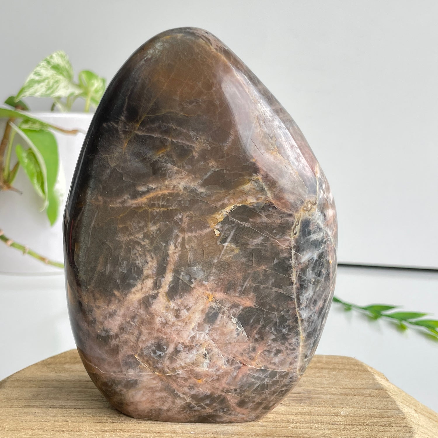 Black Moonstone Freeform 13.9cm