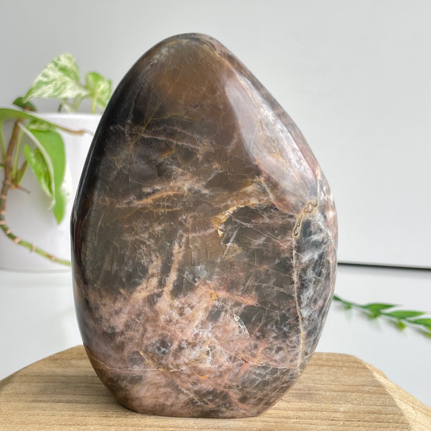 Black Moonstone Freeform 13.9cm