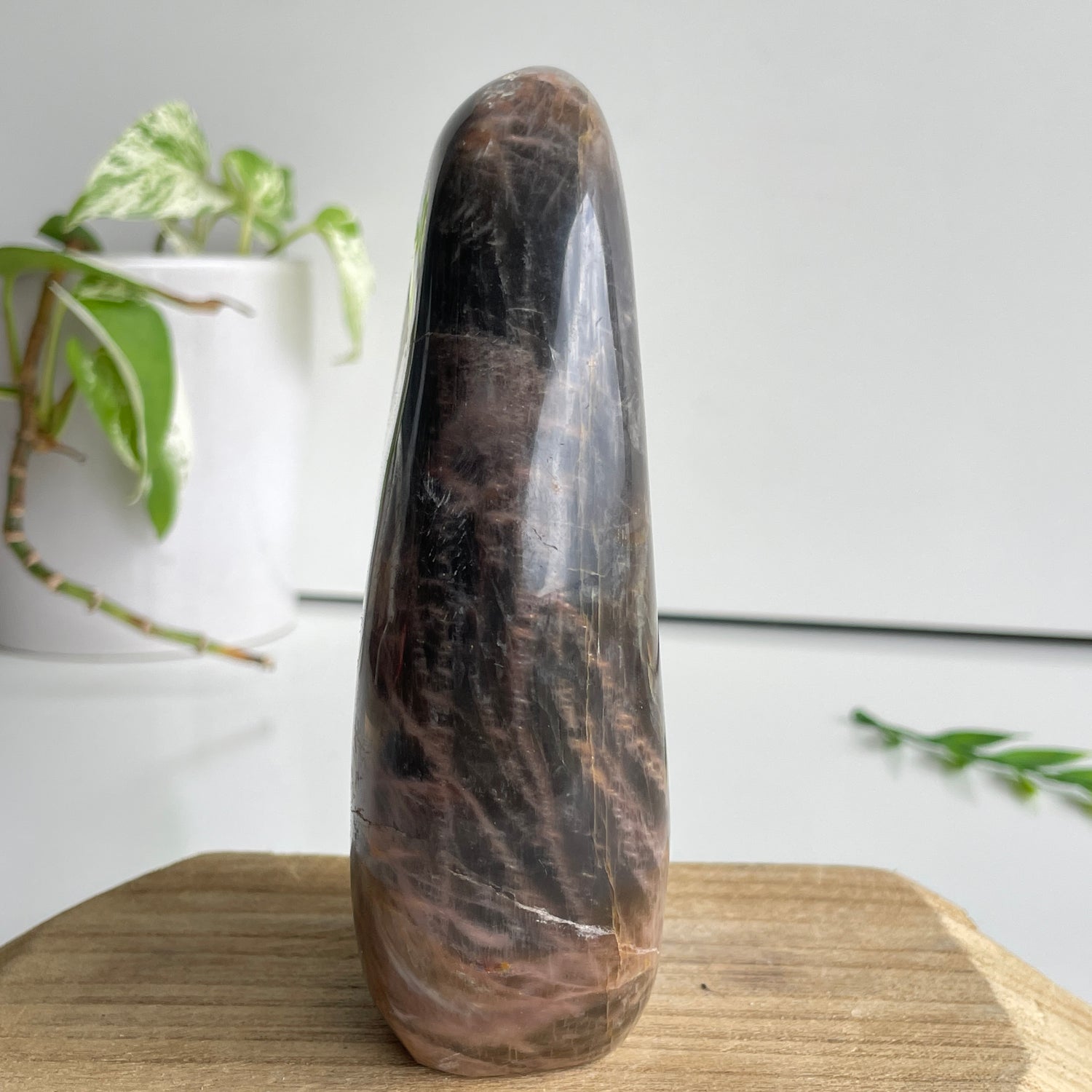 Black Moonstone Freeform 13.9cm